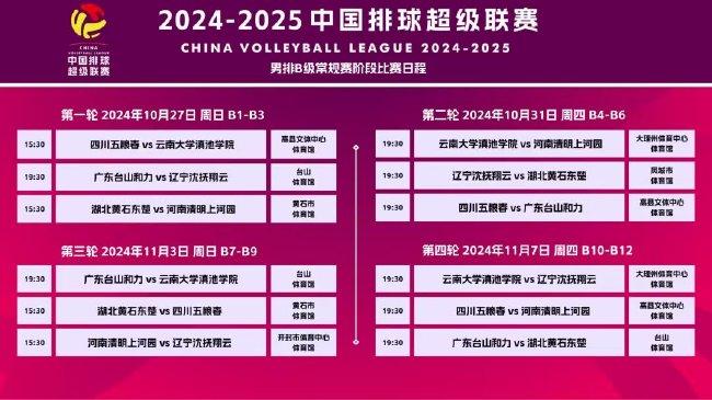 2025新澳精准正版免費資料或2025年正版资料免费，全面释义、实施策略及警惕虚假宣传-全面释义、解释和落实